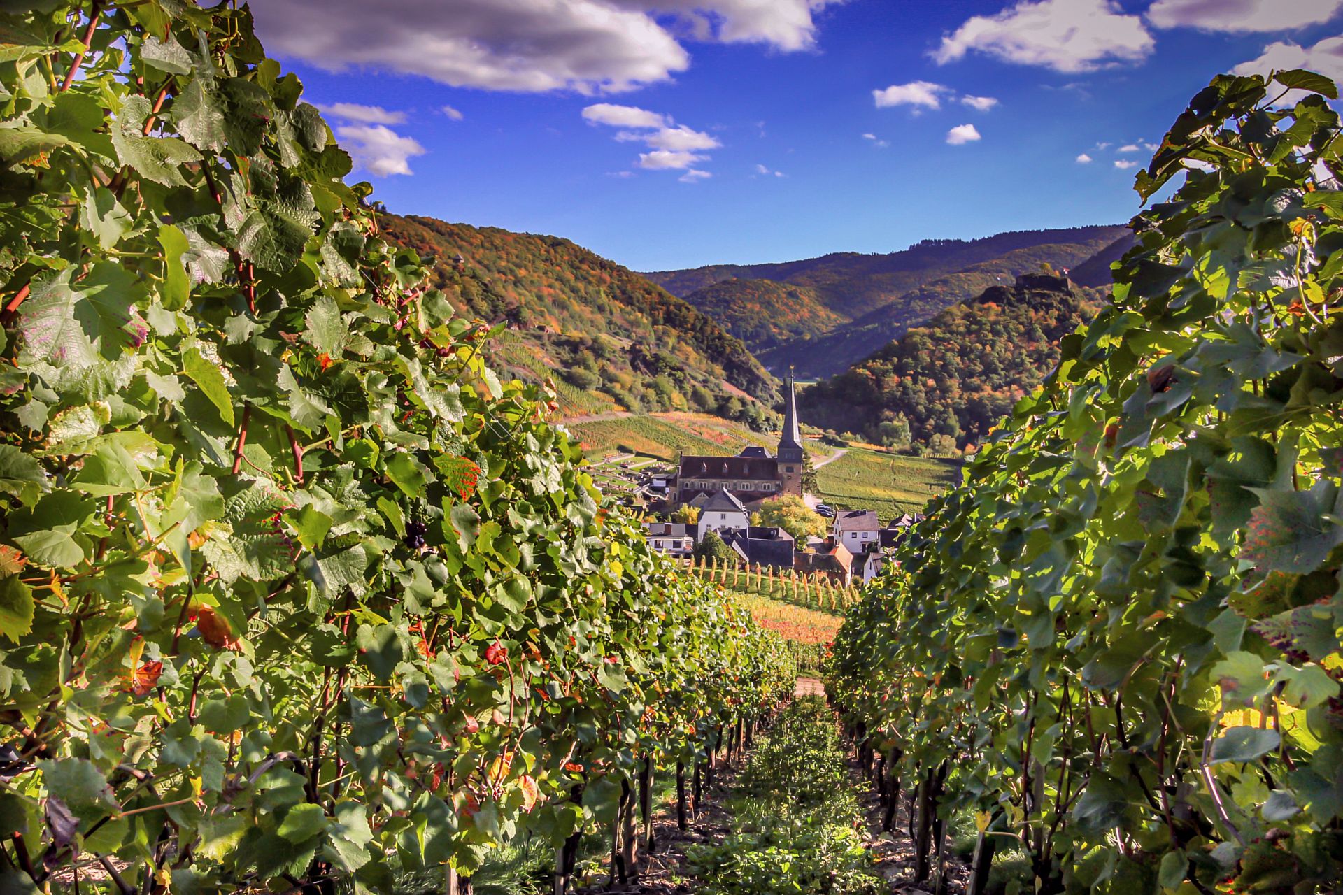 Bahn und Weingenuss zwischen Eifel, Ahrtal und Rhein